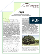 Figs PDF