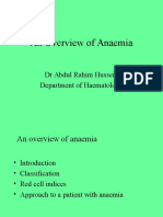 An Introduction To Anaemia