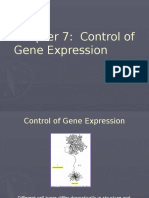 Chapter 7 Control of Gene Expression