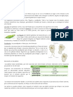 Funciones de Los Seres Vivos