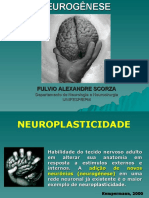 Aula Neurogenese