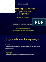 Neurological Basis For Speech and Language