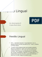 6 Frenillo Lingual