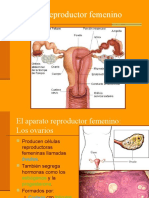 Parte II Aparato Reproductor Femenino