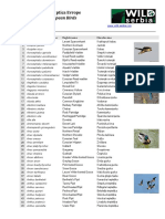 Srpska Nomenklatura Ptica Evrope