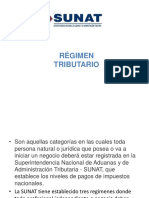 Regimen Tributario Rus Rer RG PDF