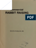 Commercial Rabbit Raising Rich