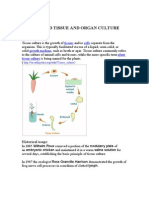 Cell and Tissue Culture