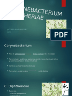 Corynebacterium Diphtheriae