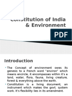 Constitution & Environment