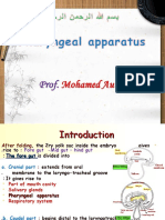 Development of Pharyngeal Apparatus