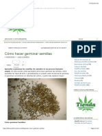 Cómo Hacer Germinar Semillas - Blog Autoflorecientes PDF