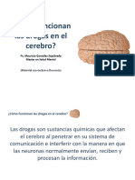 Cómo Funcionan Las Drogas en El Cerebro