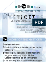 The Mystical World of Mysticetes CV