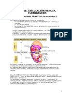 Sistema Venoso Embrion