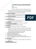 Estructura Del Proyecto de Aplicación Profesional