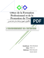 L'Environnement de L'entreprise