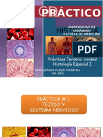 Practicas Unidad III. Histología Especial I.