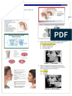 Anesthesiology Intubation