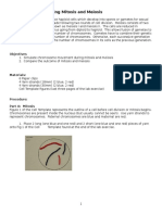 Bio Lab 15 Comparing Mitosis and Meiosis Instructions 1