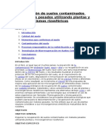 Recuperación de Suelos Contaminados Con Metales Pesados Utilizando Plantas y Microorganismos Rizosféricos