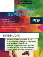 Sensibilidad Superficial