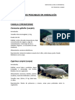 Tema 4 - Especies Pescables en Andalucía y Mas