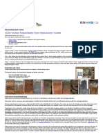 Interpreting Soil Colour