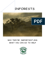 Rainforest Booklet PDF