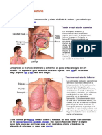 Aparato Respiratorio