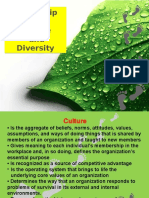 Leadership of Culture and Diversity