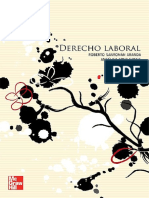 Derecho Laboral PDF