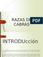 Razas de Cabras Presentacion