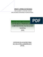 Estudio Esertificacion en Nicaragua PDF