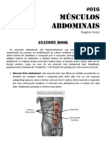 016 Musculos Abdominais