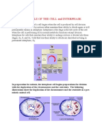 Cell Division PDF