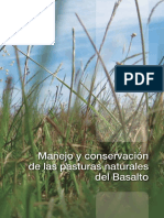 20 Pasturas de Basalto