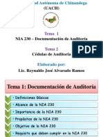 Nia 230 y Cedulas de Auditoria