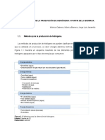 Generalidades de La Produccion de Hidrogeno A Partir de Biomasa