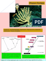 Leccion 08 Demosponjas