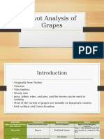 Swot Analysis of Grapes