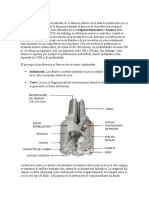 Es La Herramienta de Corte Localizado en El Extremo Inferior de La Sarta de Perforación Que Se Utiliza para Cortar o Triturar La Formación Durante El Proceso de La Perforación Rotatoria