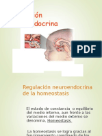 Regulación Neuroendocrina de La Homeostasis