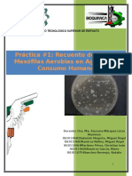 Reporte #1 Bacterias Mesofilas