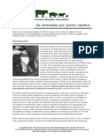 Aturdimientodeanimalesporpernocautivo PDF