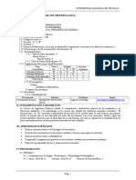 Silabo Mineralogia Ing - Quimica Unt