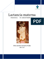 Lactancia Materna Normal