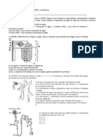 Exercícios Sistema Excretor