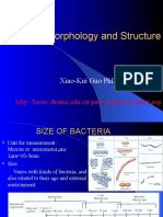 QMS Microbiology