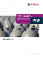 Sepuran n2 en